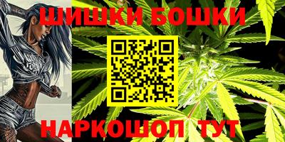 стаф Новозыбков